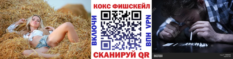 Кокаин Боливия  купить наркотик  Камышлов 