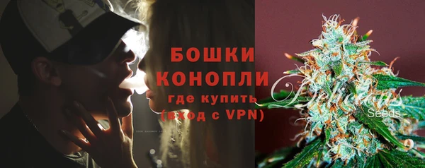 PSILOCYBIN Гатчина