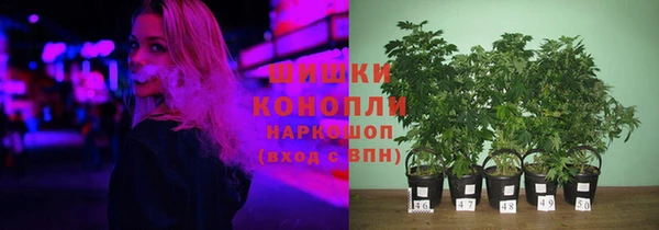 PSILOCYBIN Гатчина