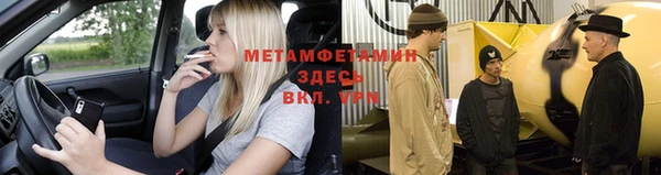 PSILOCYBIN Гатчина