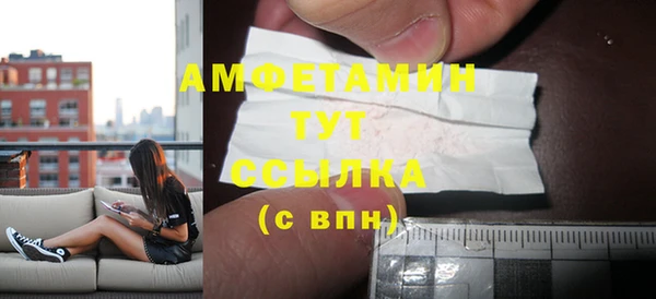 PSILOCYBIN Гатчина