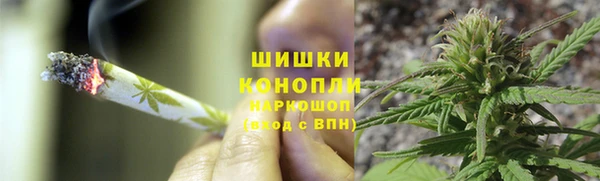 мяу мяу мука Галич