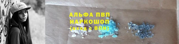 PSILOCYBIN Гатчина