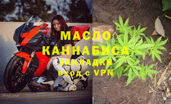 PSILOCYBIN Гатчина