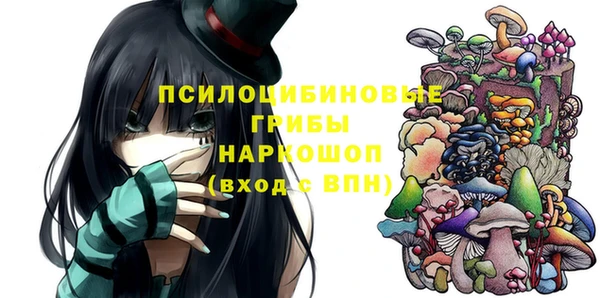 соль ск Гвардейск