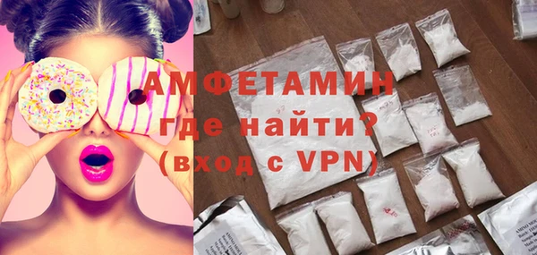 PSILOCYBIN Гатчина