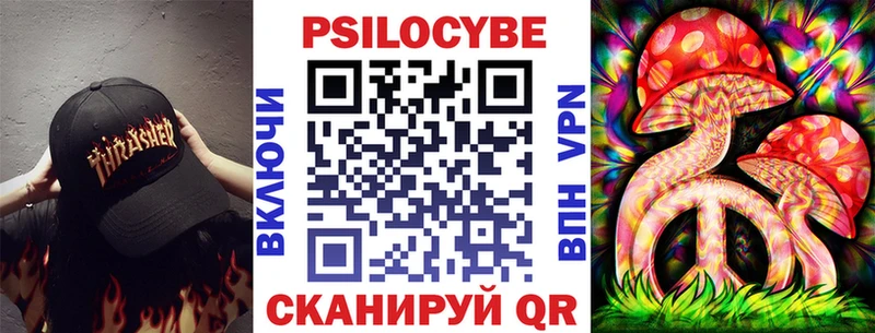 Псилоцибиновые грибы Psilocybe  Камышлов 