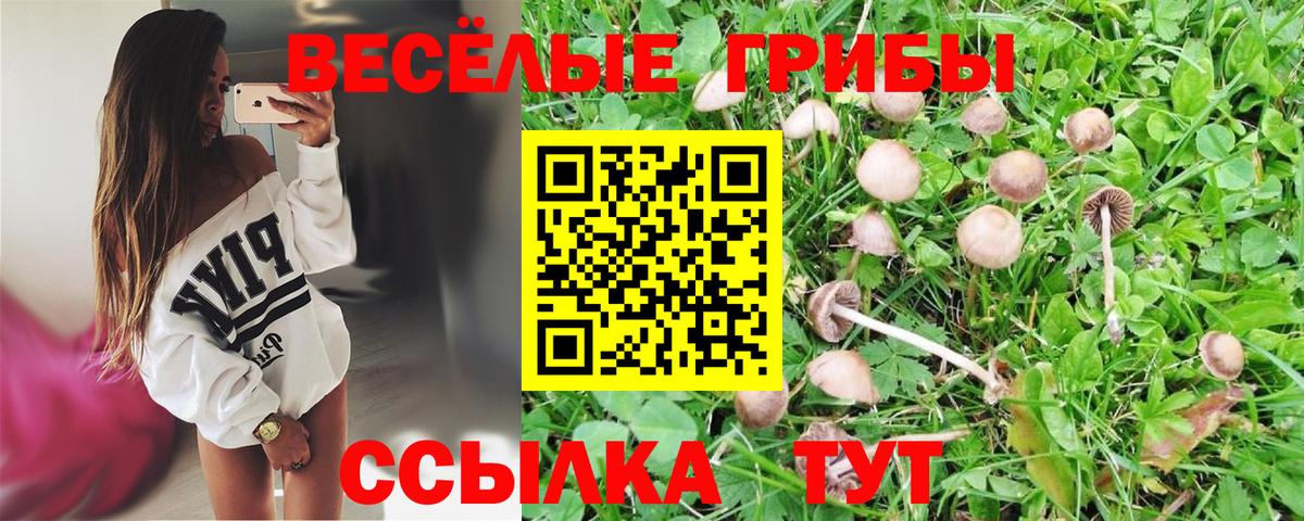 Псилоцибиновые грибы Камышлов