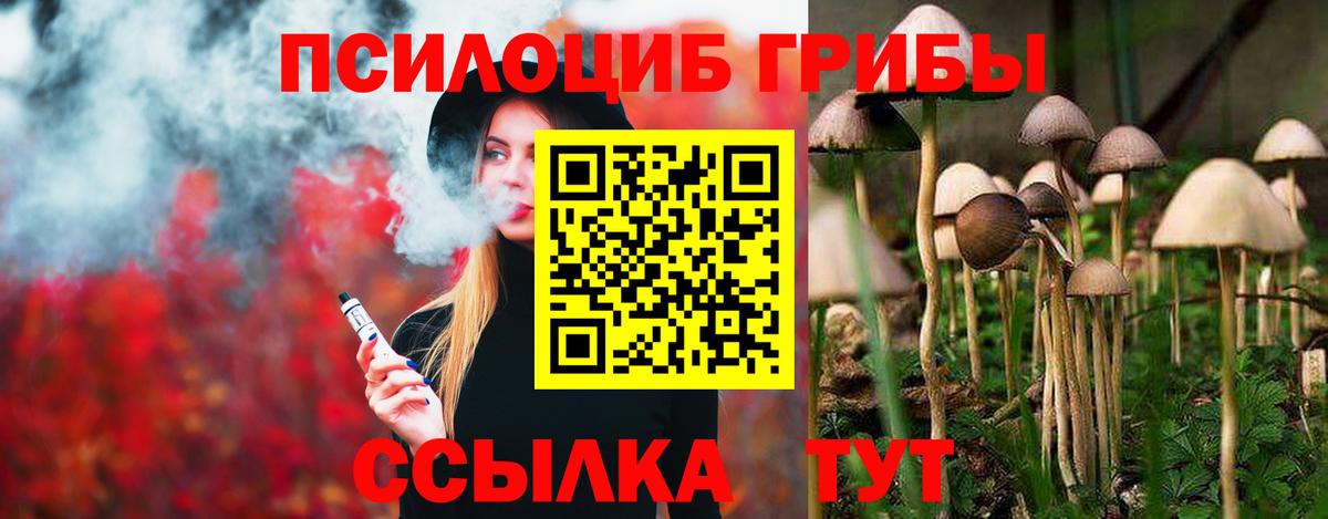Псилоцибиновые грибы Psilocybine cubensis  Вход с VPN  Галлюциногенные грибы GOLDEN TEACHER  Камышлов 
