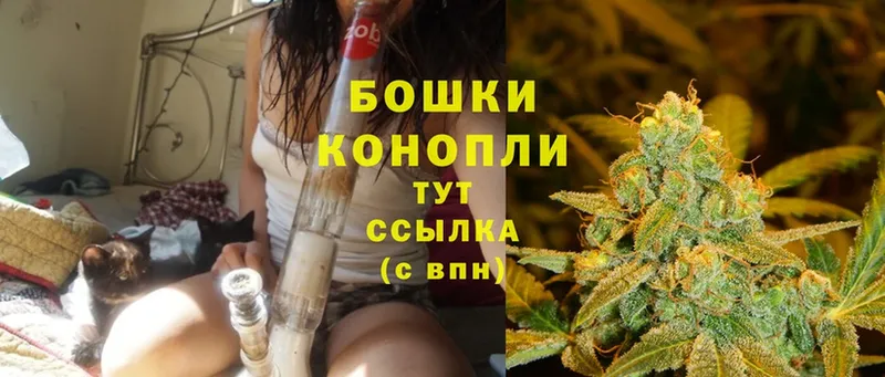 МАРИХУАНА SATIVA & INDICA  shop формула  Камышлов 