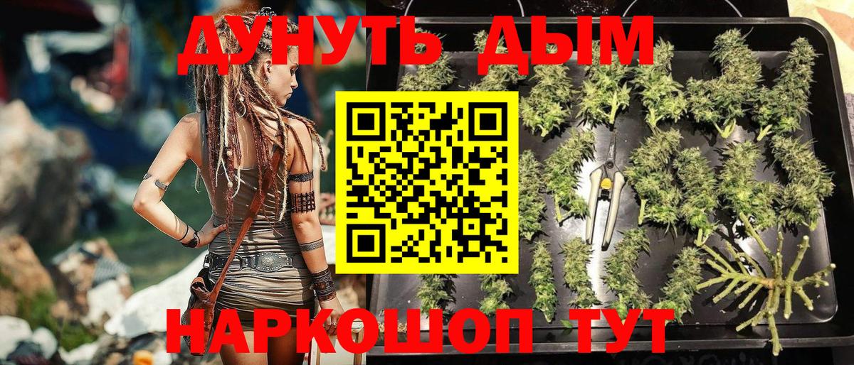 Бошки марихуана Ganja  Каннабис тримм  Камышлов  Канабис MAZAR  Вход с VPN 